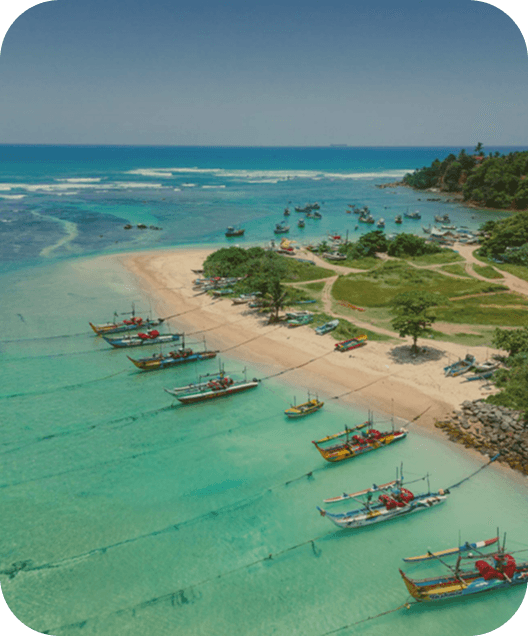 The Workcation of your Dreams