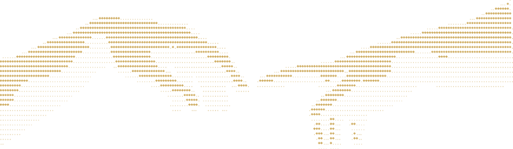 Partnerships Background